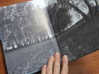 Книга "Алтын балык" ("Золотая рыбка")